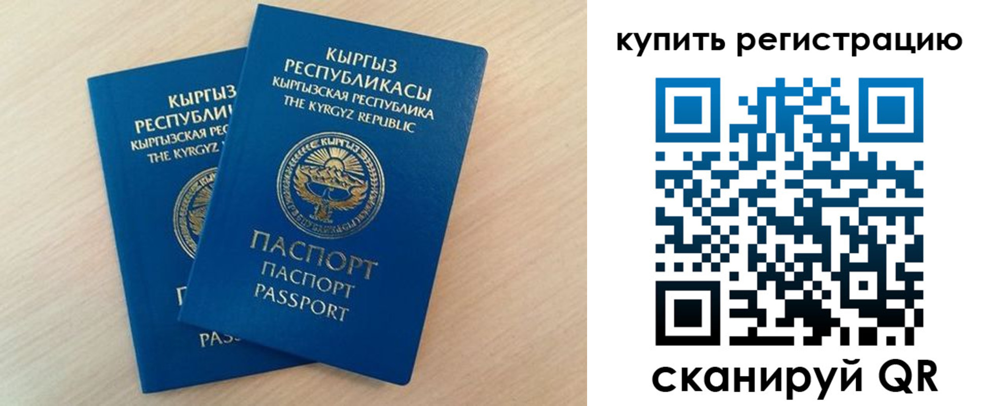 временная регистрация поиск в Читинской области